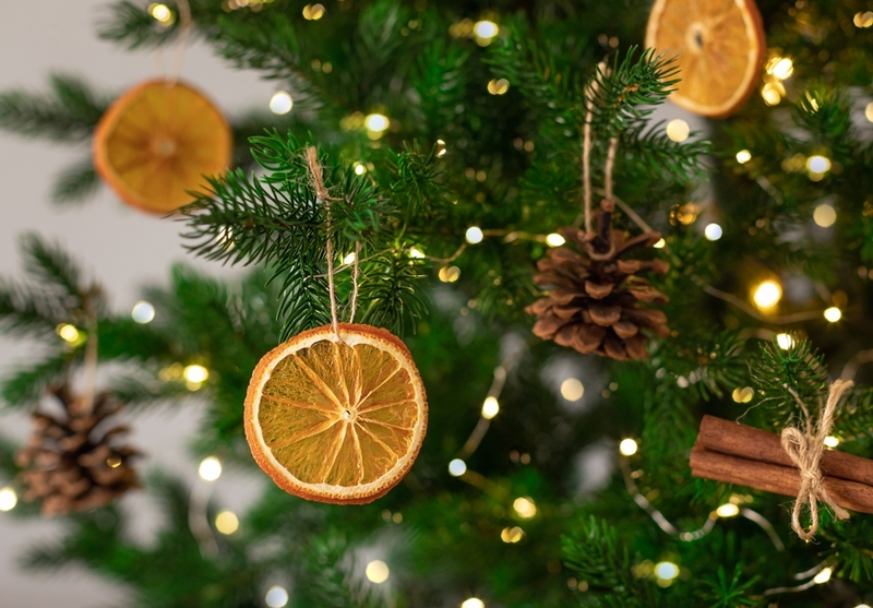 Unwrapping the Story Behind Oranges and Christmas | Mila Naumova/Shutterstock