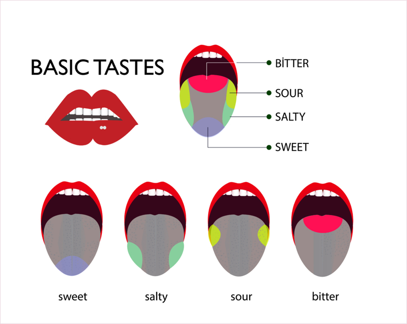 Fun Facts About Your Taste Buds  | fridas/Shutterstock