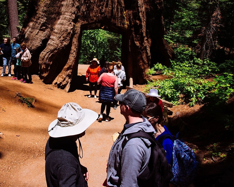 Reality: Yosemite National Park, United States | Getty Images Photo by Hugh Peterswald/Pacific Press/LightRocket