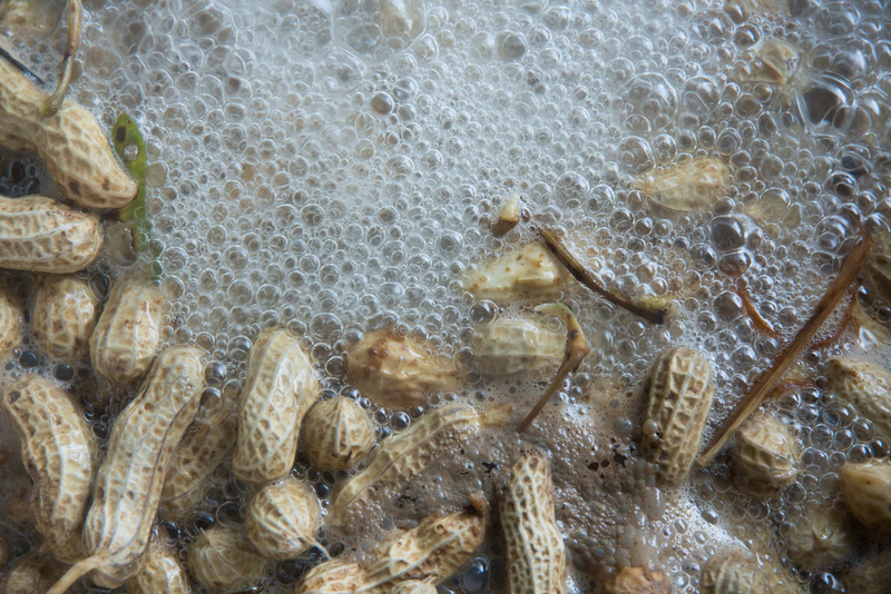 Florida -- Boiled Peanuts | Shutterstock