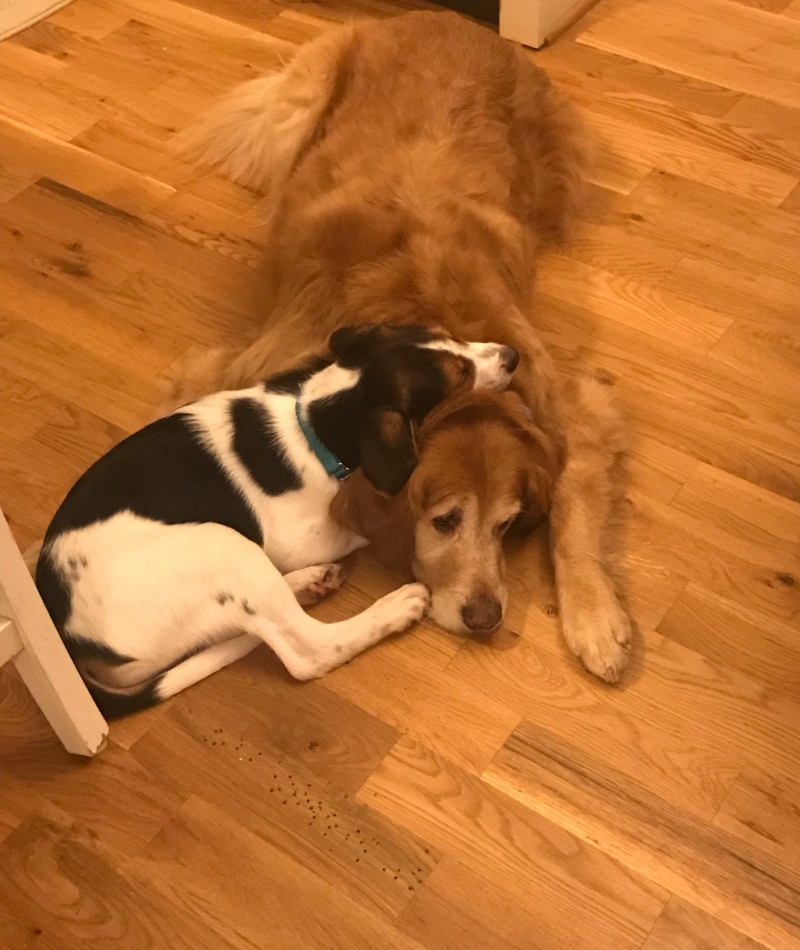 Daisy With Aunt Annie | Instagram/@ourgoldenyears