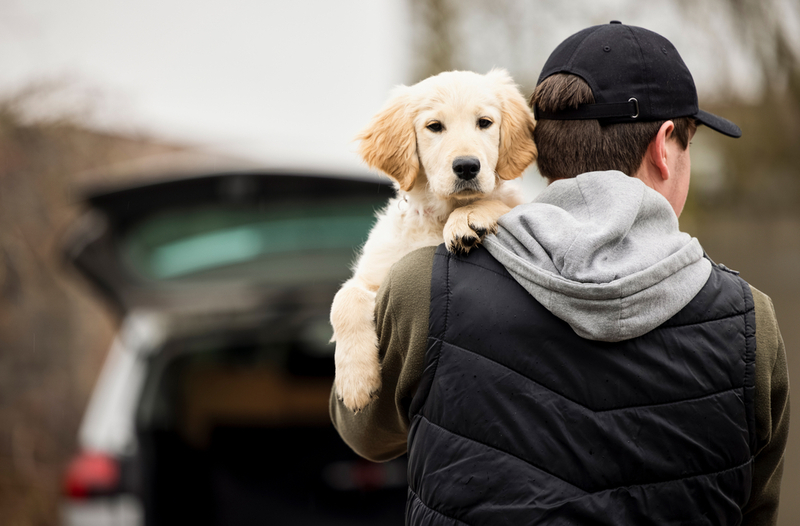 A Tough Ride Home | Daisy Daisy/Shutterstock