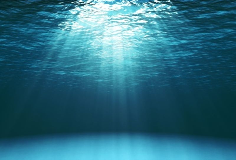 5 Incredible Facts About The Ocean | katatonia82/Shutterstock