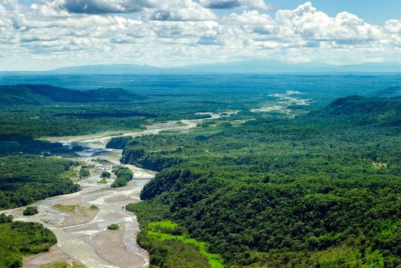 The Importance of Rainforests | Ammit Jack/Shutterstock 