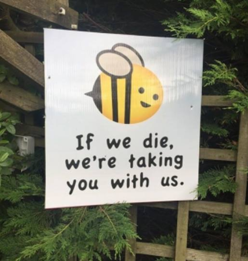 All for the Hive | Imgur.com/YankeeDoodleYiddo