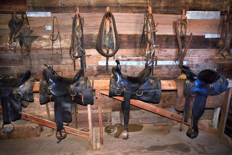 Saddling Up | Getty Images Photo by Robert Alexander