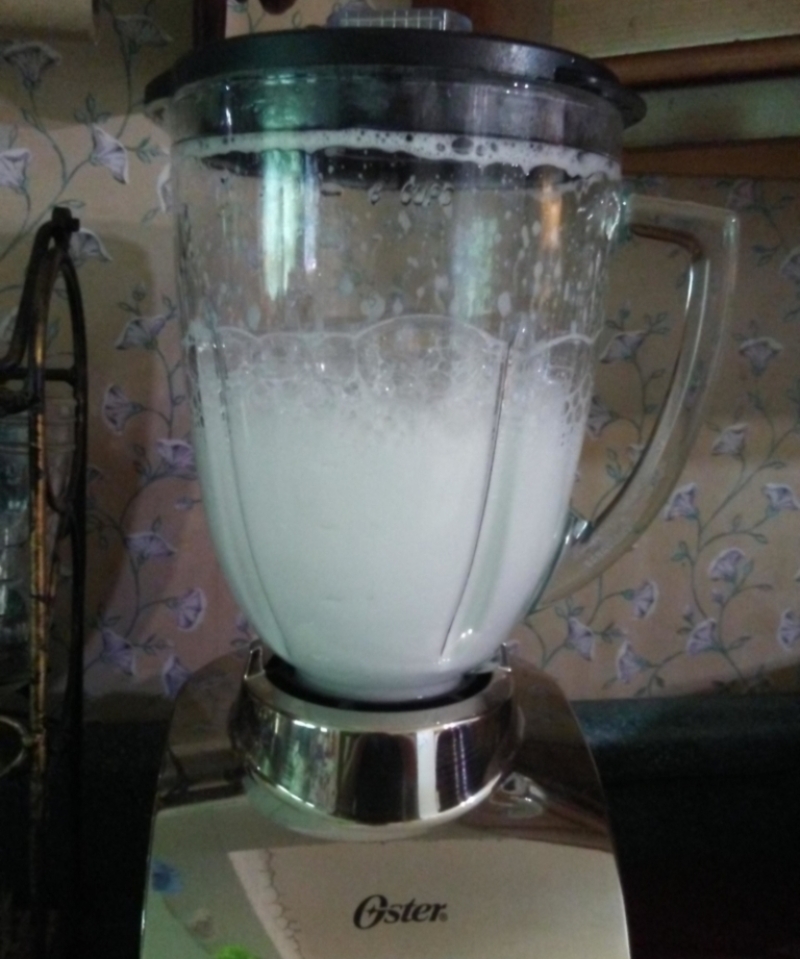 Throw Dishwashing Liquid into Your Blender | Imgur.com/T7cQb2m