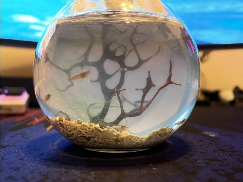 Self-Sustaining Ecosystem | Reddit.com/ZestyRanch1219