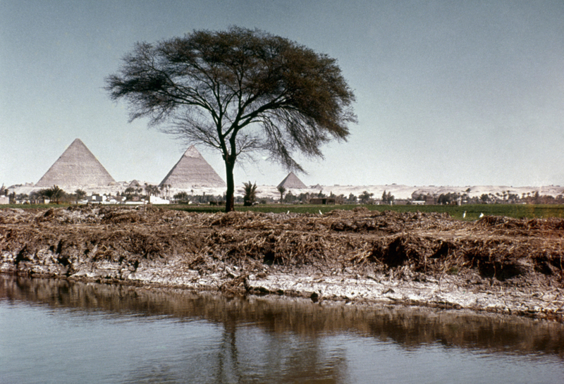 Power Of The Nile | Alamy Stock Photo by Granger, NYC.