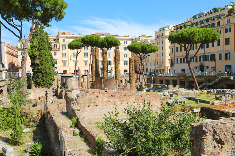 How the Curia Pompeia Was Established | Alamy Stock Photo by Sergio Monti 