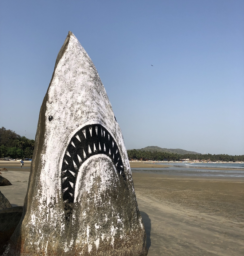 Catching This Giant Rock? We’re Most Definitely Going to Need a Bigger Boat | Getty Images Photo by mtreasure